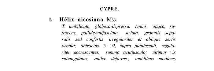 Metafruticicola nicosiana - Cipro